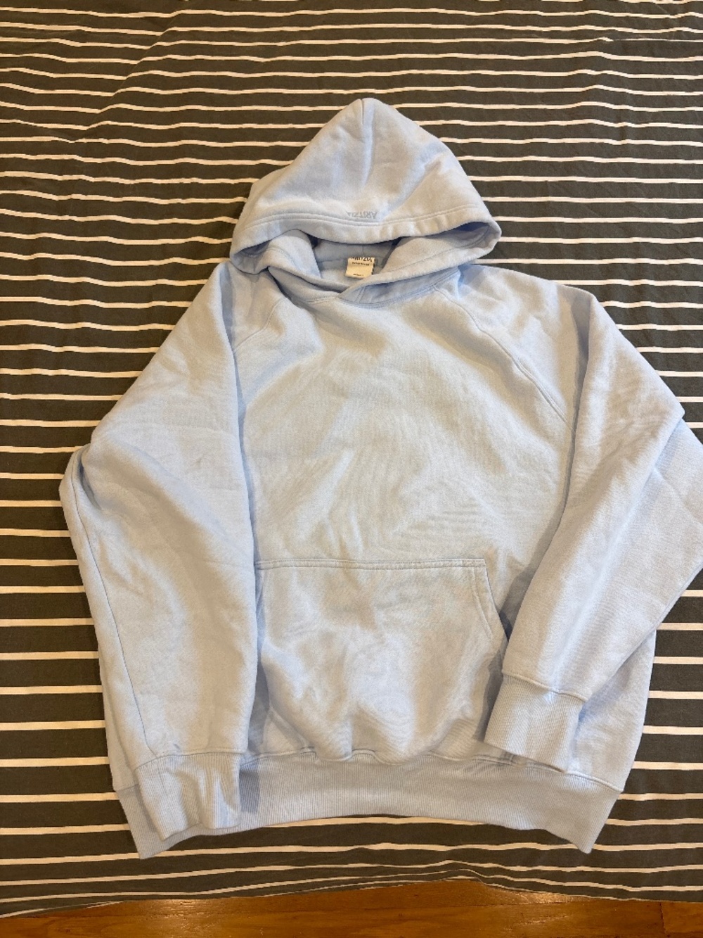 Aritzia Baby Blue Hoodie M
